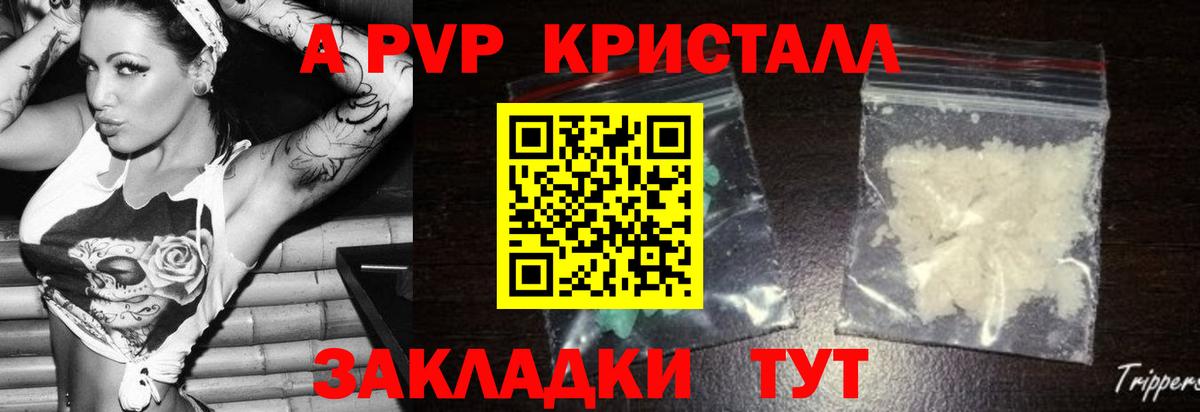 A PVP крисы CK Тосно